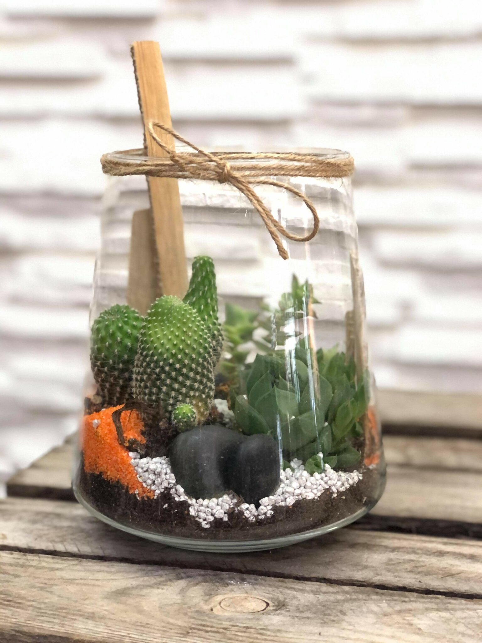 Terrarium de plantes grasses Amaryllis